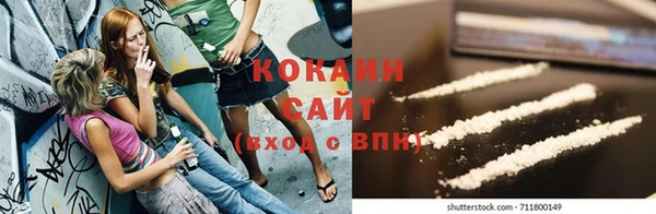 прущие грибы Абаза