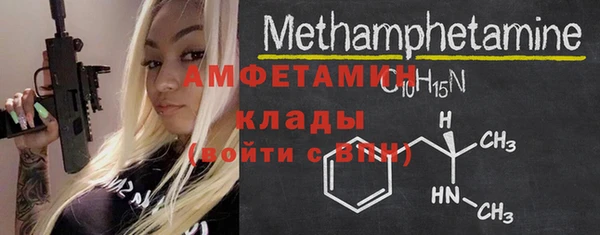 прущие грибы Абаза