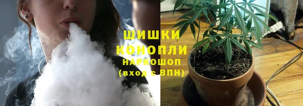 прущие грибы Абаза