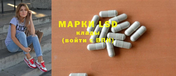 прущие грибы Абаза