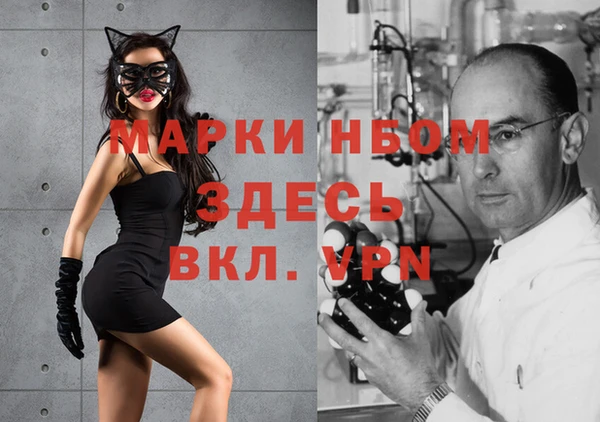 прущие грибы Абаза