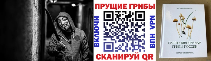 даркнет сайт  Воронеж  OMG   Псилоцибиновые грибы Magic Shrooms 