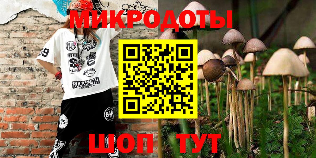 Псилоцибиновые грибы мицелий Воронеж