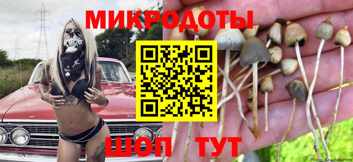 Воронеж  Псилоцибиновые грибы MAGIC MUSHROOMS  Вход с VPN 